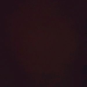 Meet your Posher, Victor